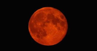 Il cielo di agosto si tinge di rosso: arriva la “Luna di Sangue” Il cielo di agosto si tinge di rosso: arriva la “Luna di Sangue”